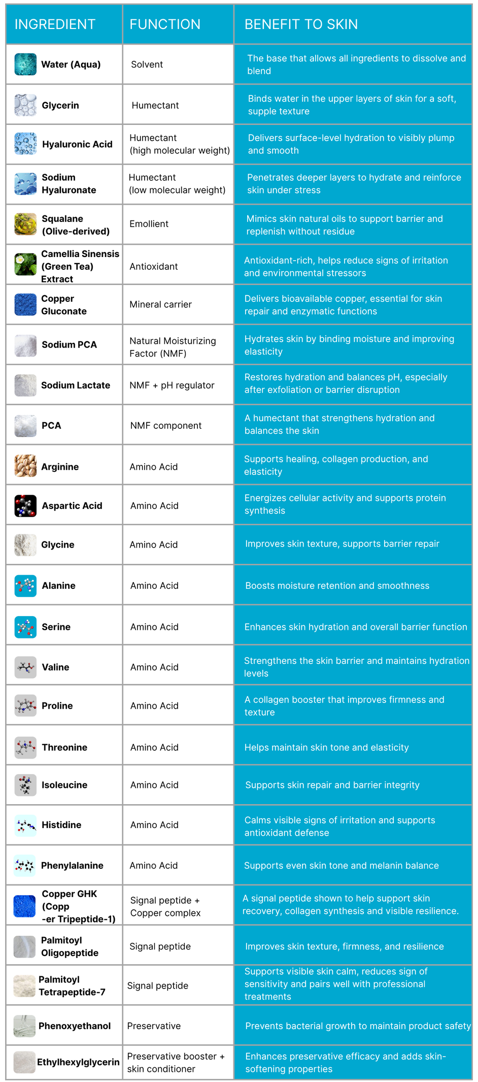 Ingredient chart for G7 Hyaluronic Acid Serum highlighting functions and benefits of key ingredients like multi-molecular hyaluronic acid, copper peptides, amino acids, and antioxidant-rich green tea extract—designed to support hydration, skin barrier repair, and visible resilience.
